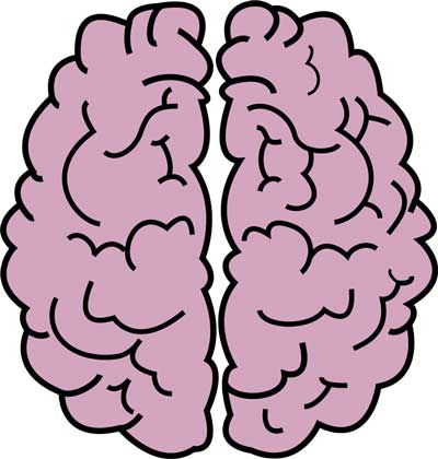 brain-clipart