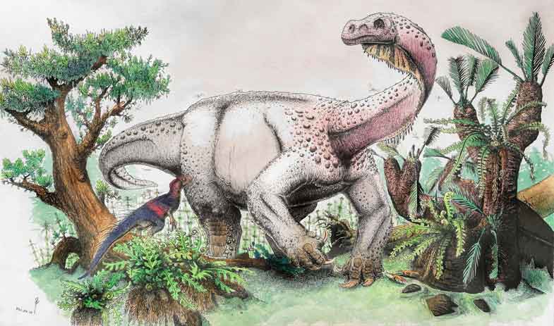 ledumahadima-new-species-of-dinosaur